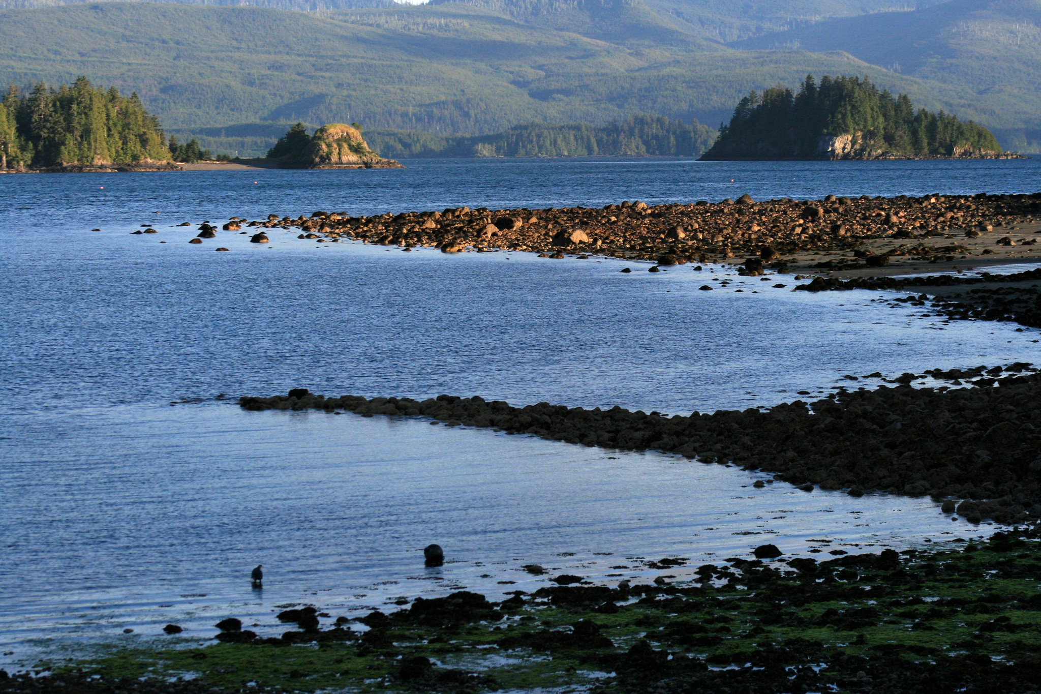 Blick aufs Meer von der Küste.